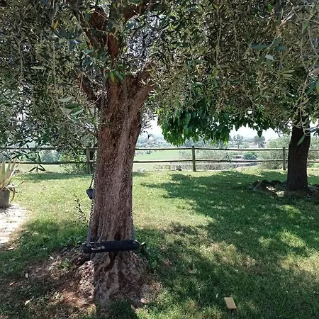 Villa Roberto *