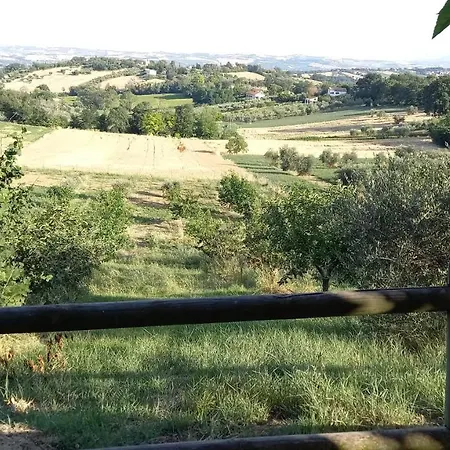 Roberto
